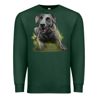 Sports Green Texas Blue Lacy Dog Premium Sweatshirt - LillyAllenDesigns