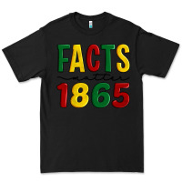 Black facts matter 1865 Premium Tee - Artiststas