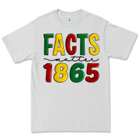 Dove Grey facts matter 1865 Premium Tee - Artiststas