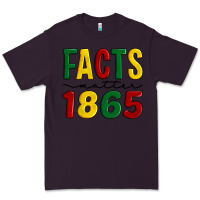 Plum facts matter 1865 Premium Tee - Artiststas