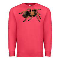 Cardinal Mexican Red Knee Tarantula Premium Sweatshirt - LillyAllenDesigns