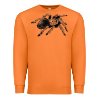 Carrot Mexican Red Knee Tarantula Premium Sweatshirt - LillyAllenDesigns