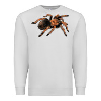 Dove Grey Mexican Red Knee Tarantula Premium Sweatshirt - LillyAllenDesigns