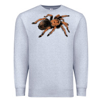 Heather Grey Mexican Red Knee Tarantula Premium Sweatshirt - LillyAllenDesigns