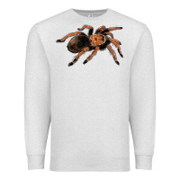 Oatmeal Heather Mexican Red Knee Tarantula Premium Sweatshirt - LillyAllenDesigns