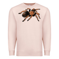Mexican Red Knee Tarantula Premium Sweatshirt | Teevron