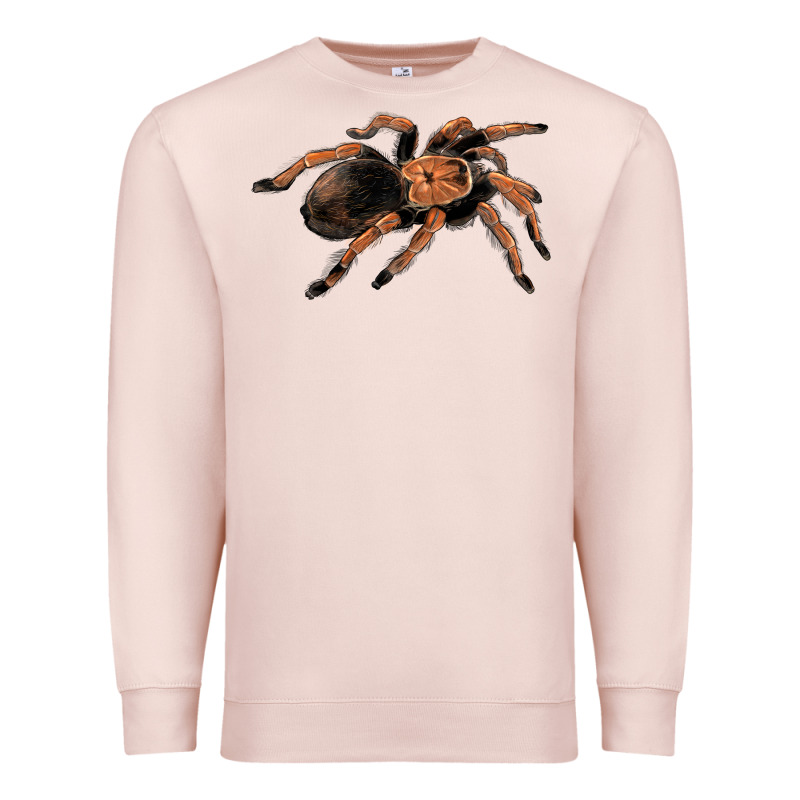 Mexican Red Knee Tarantula Premium Sweatshirt by LillyAllenDesigns | Teevron