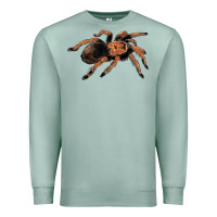 Seafoam Mexican Red Knee Tarantula Premium Sweatshirt - LillyAllenDesigns