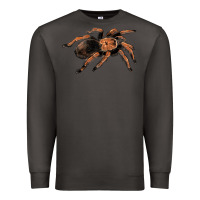 Smoke Mexican Red Knee Tarantula Premium Sweatshirt - LillyAllenDesigns