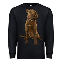 Black chesapeake bay retriever Premium Sweatshirt - LillyAllenDesigns
