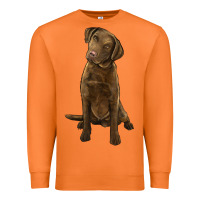 Carrot chesapeake bay retriever Premium Sweatshirt - LillyAllenDesigns