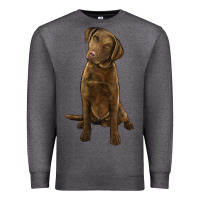 Charcoal Heather chesapeake bay retriever Premium Sweatshirt - LillyAllenDesigns