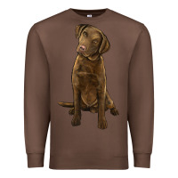 Chestnut chesapeake bay retriever Premium Sweatshirt - LillyAllenDesigns