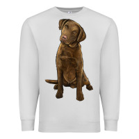 Dove Grey chesapeake bay retriever Premium Sweatshirt - LillyAllenDesigns