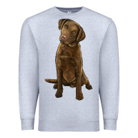 Heather Grey chesapeake bay retriever Premium Sweatshirt - LillyAllenDesigns