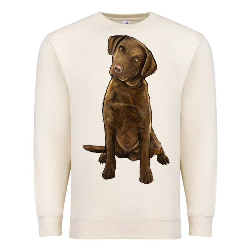 Chesapeake Bay Retriever Premium Sweatshirt by LillyAllenDesigns | Teevron