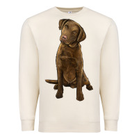 Sandshell chesapeake bay retriever Premium Sweatshirt - LillyAllenDesigns