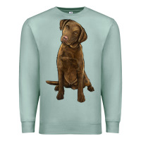 Seafoam chesapeake bay retriever Premium Sweatshirt - LillyAllenDesigns