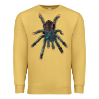Antique Gold Pink Toe Tarantula Premium Sweatshirt - LillyAllenDesigns