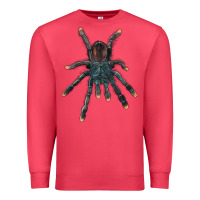 Cardinal Pink Toe Tarantula Premium Sweatshirt - LillyAllenDesigns