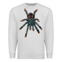 Dove Grey Pink Toe Tarantula Premium Sweatshirt - LillyAllenDesigns