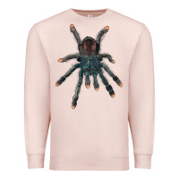 Pale Pink Pink Toe Tarantula Premium Sweatshirt - LillyAllenDesigns