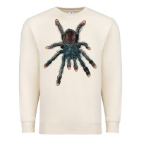 Pink Toe Tarantula Premium Sweatshirt | Teevron