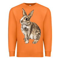 Carrot Rabbit Premium Sweatshirt - LillyAllenDesigns