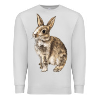 Dove Grey Rabbit Premium Sweatshirt - LillyAllenDesigns