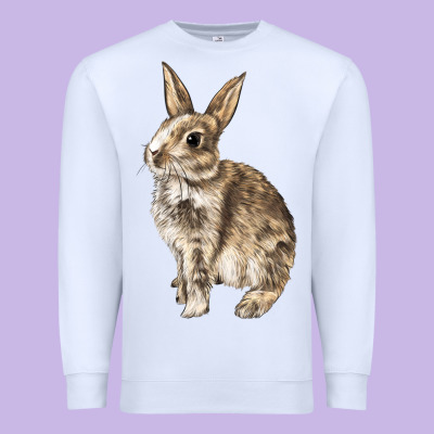 Rabbit Premium Sweatshirt Designed By Lillyallendesigns