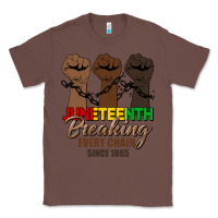 Chestnut breaking every chain since 1865 Classic Tee - HRA Design Shop
