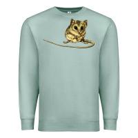 Seafoam Dunnart Premium Sweatshirt - LillyAllenDesigns