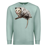 Seafoam opossum Premium Sweatshirt - LillyAllenDesigns