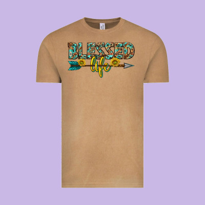 Vintage Tee blessed life western