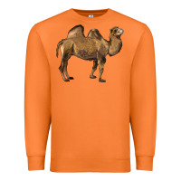 Carrot Camel Premium Sweatshirt - LillyAllenDesigns