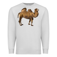 Dove Grey Camel Premium Sweatshirt - LillyAllenDesigns