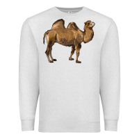 Oatmeal Heather Camel Premium Sweatshirt - LillyAllenDesigns