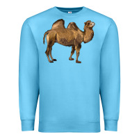 Ocean Blue Camel Premium Sweatshirt - LillyAllenDesigns