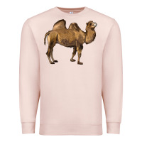 Pale Pink Camel Premium Sweatshirt - LillyAllenDesigns