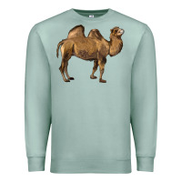 Seafoam Camel Premium Sweatshirt - LillyAllenDesigns