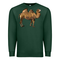 Sports Green Camel Premium Sweatshirt - LillyAllenDesigns