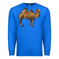 True Royal Camel Premium Sweatshirt - LillyAllenDesigns