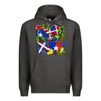 Charcoal Heather puerto rico with dominican republic hearts Premium Hoodie - NancyCooperArtShop