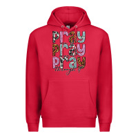 Cardinal pray on it pray over it pray through it Premium Hoodie - NancyCooperArtShop