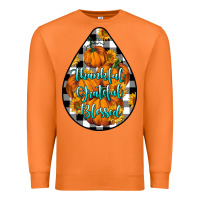 Carrot Thankful Grateful Blessed Premium Sweatshirt - LillyAllenDesigns