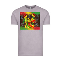 Vintage Zinc free ish since 1865 Vintage Tee - BarkalooDesign
