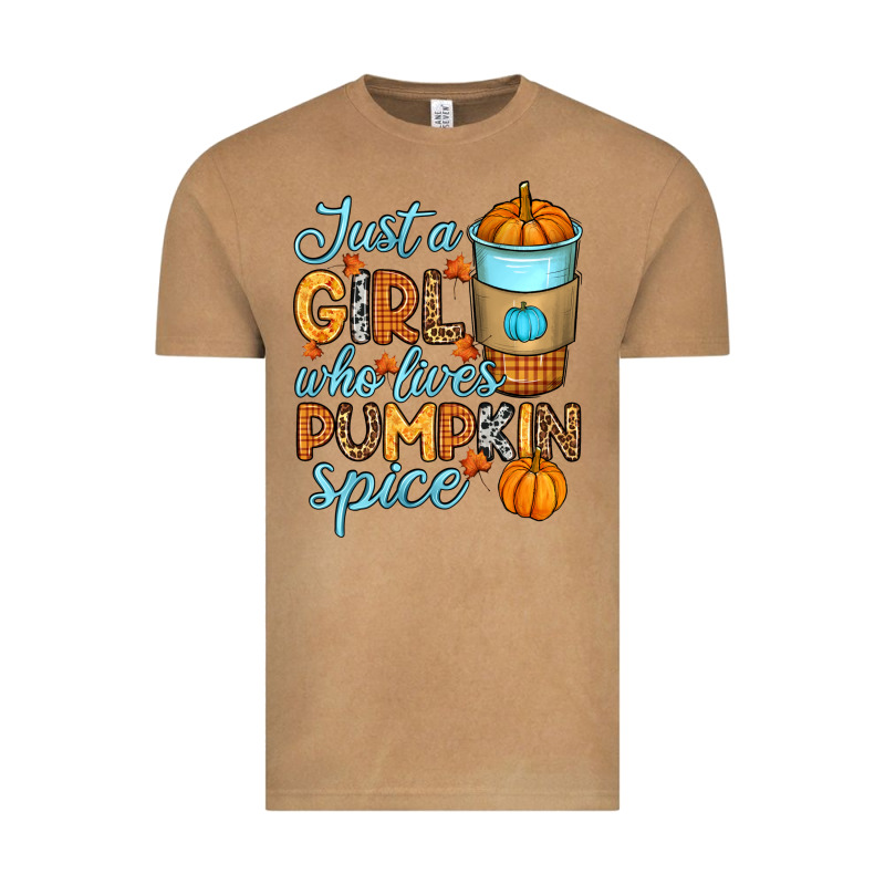 Just A Girl Who Loves Pumpkin Spice Vintage Tee by RanaPortraitStore | Teevron