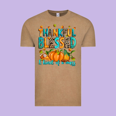 Vintage Tee Thankful blessed and kind of a mess