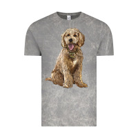 Cloud Rock goldendoodle Vintage Tee - BarkalooDesign