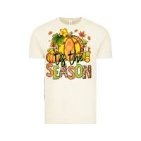 Vintage Arctic Tis' the season Fall Softball Vintage Tee - RanaPortraitStore